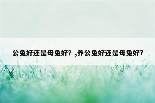 公兔好还是母兔好？,养公兔好还是母兔好?  第1张