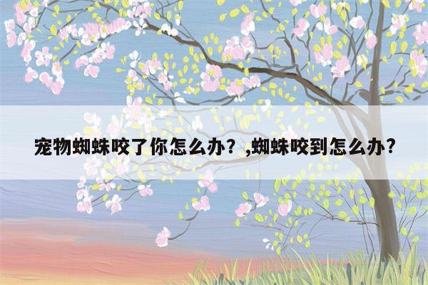 宠物蜘蛛咬了你怎么办？,蜘蛛咬到怎么办?  第1张