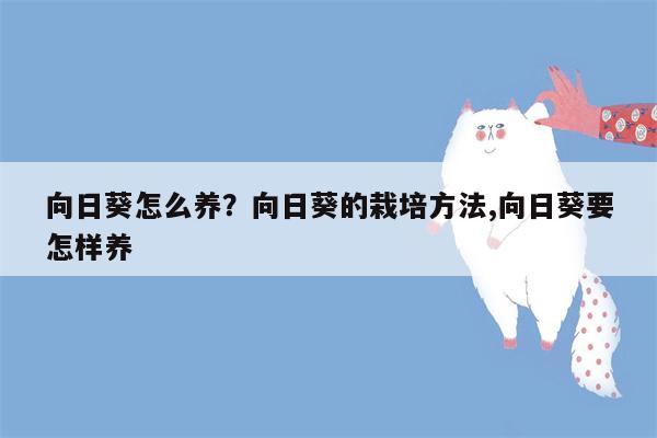 向日葵怎么养？向日葵的栽培方法,向日葵要怎样养  第1张