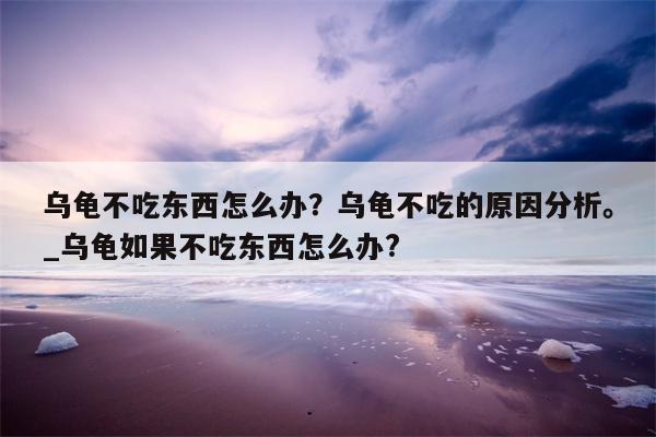 乌龟不吃东西怎么办？乌龟不吃的原因分析。 乌龟如果不吃东西怎么办?  第1张