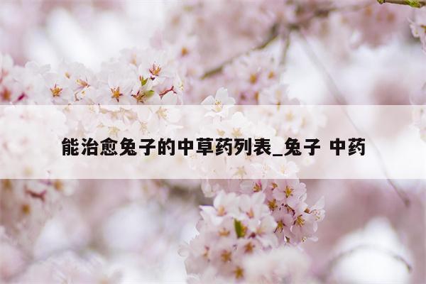 能治愈兔子的中草药列表 兔子 中药  第1张