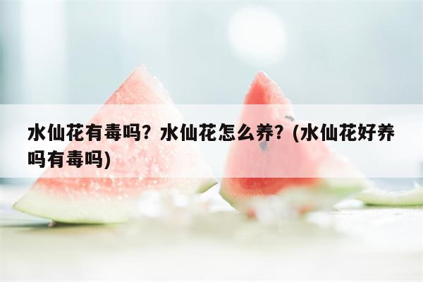 水仙花有毒吗？水仙花怎么养？(水仙花好养吗有毒吗)  第1张