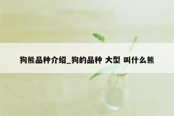 狗熊品种介绍 狗的品种 大型 叫什么熊  第1张