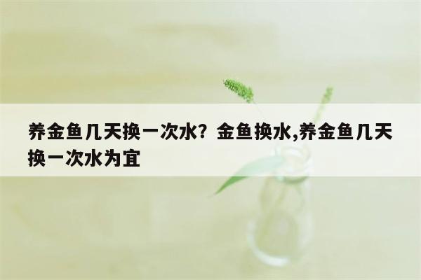 养金鱼几天换一次水？金鱼换水,养金鱼几天换一次水为宜  第1张