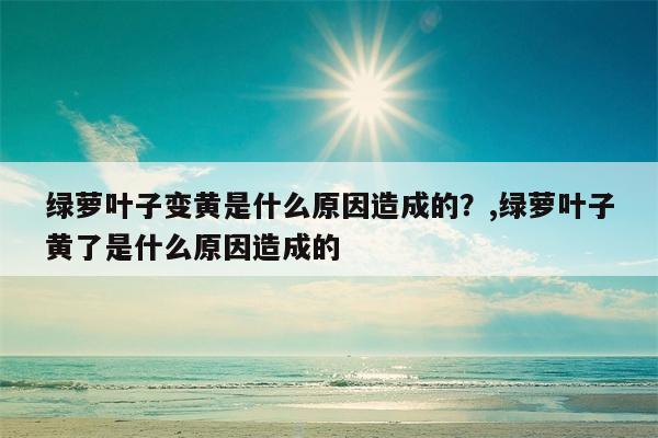 绿萝叶子变黄是什么原因造成的？,绿萝叶子黄了是什么原因造成的  第1张