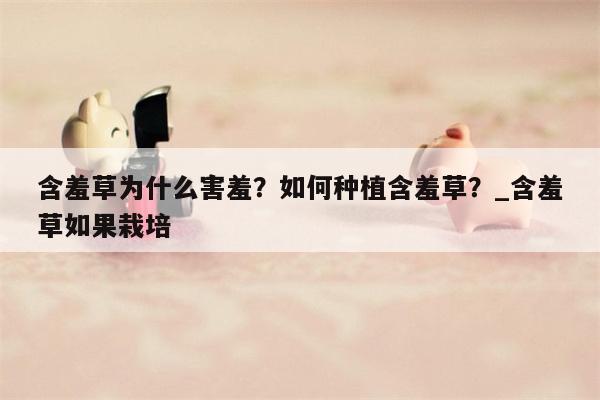 含羞草为什么害羞？如何种植含羞草？ 含羞草如果栽培  第1张