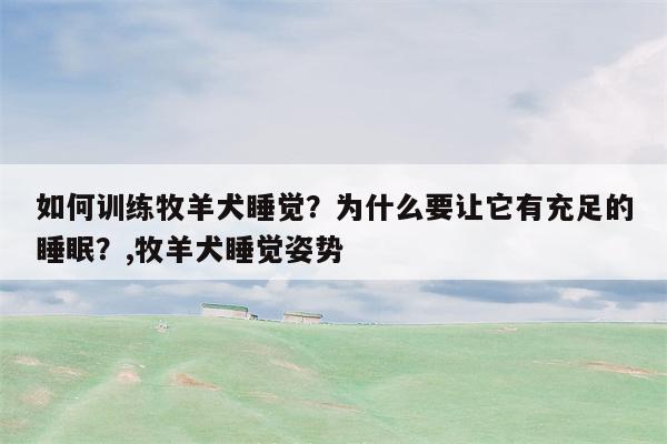 如何训练牧羊犬睡觉？为什么要让它有充足的睡眠？,牧羊犬睡觉姿势  第1张