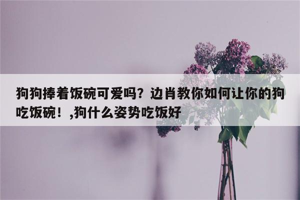 狗狗捧着饭碗可爱吗？边肖教你如何让你的狗吃饭碗！,狗什么姿势吃饭好  第1张