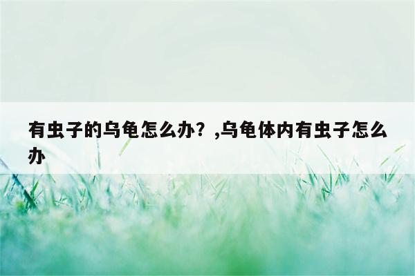 有虫子的乌龟怎么办？,乌龟体内有虫子怎么办  第1张