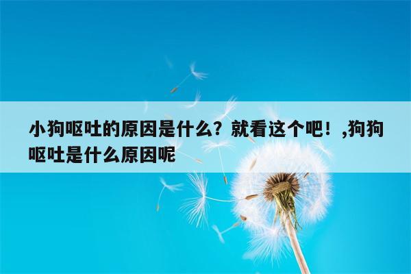 小狗呕吐的原因是什么？就看这个吧！,狗狗呕吐是什么原因呢  第1张