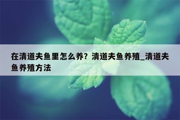 在清道夫鱼里怎么养？清道夫鱼养殖 清道夫鱼养殖方法  第1张