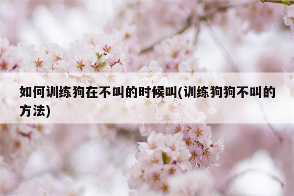 如何训练狗在不叫的时候叫(训练狗狗不叫的方法)  第1张