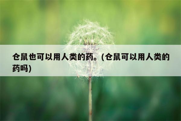 仓鼠也可以用人类的药。(仓鼠可以用人类的药吗)  第1张