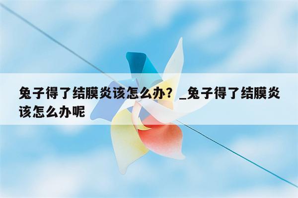 兔子得了结膜炎该怎么办？ 兔子得了结膜炎该怎么办呢  第1张