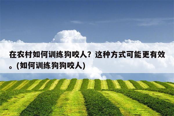 在农村如何训练狗咬人？这种方式可能更有效。(如何训练狗狗咬人)  第1张