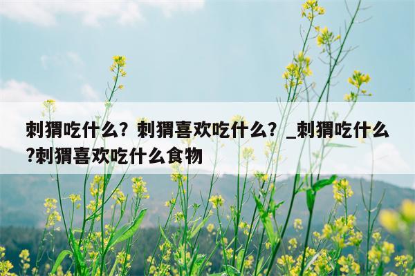 刺猬吃什么？刺猬喜欢吃什么？ 刺猬吃什么?刺猬喜欢吃什么食物  第1张