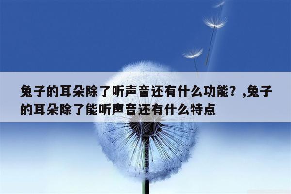 兔子的耳朵除了听声音还有什么功能？,兔子的耳朵除了能听声音还有什么特点  第1张