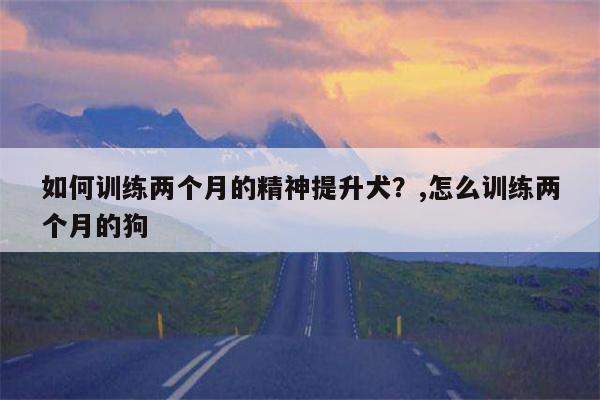 如何训练两个月的精神提升犬？,怎么训练两个月的狗  第1张