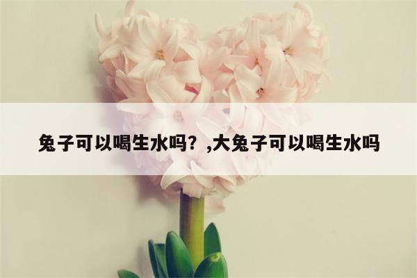 兔子可以喝生水吗？,大兔子可以喝生水吗  第1张