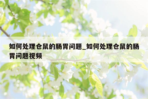 如何处理仓鼠的肠胃问题 如何处理仓鼠的肠胃问题视频  第1张