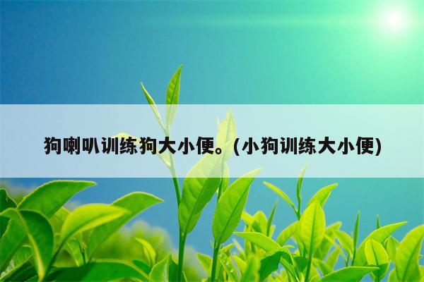 狗喇叭训练狗大小便。(小狗训练大小便)  第1张