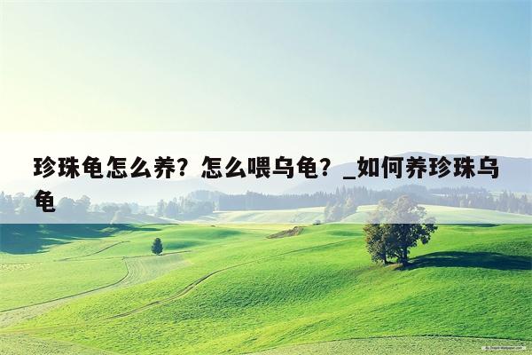 珍珠龟怎么养？怎么喂乌龟？ 如何养珍珠乌龟  第1张