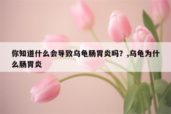 你知道什么会导致乌龟肠胃炎吗？,乌龟为什么肠胃炎  第1张